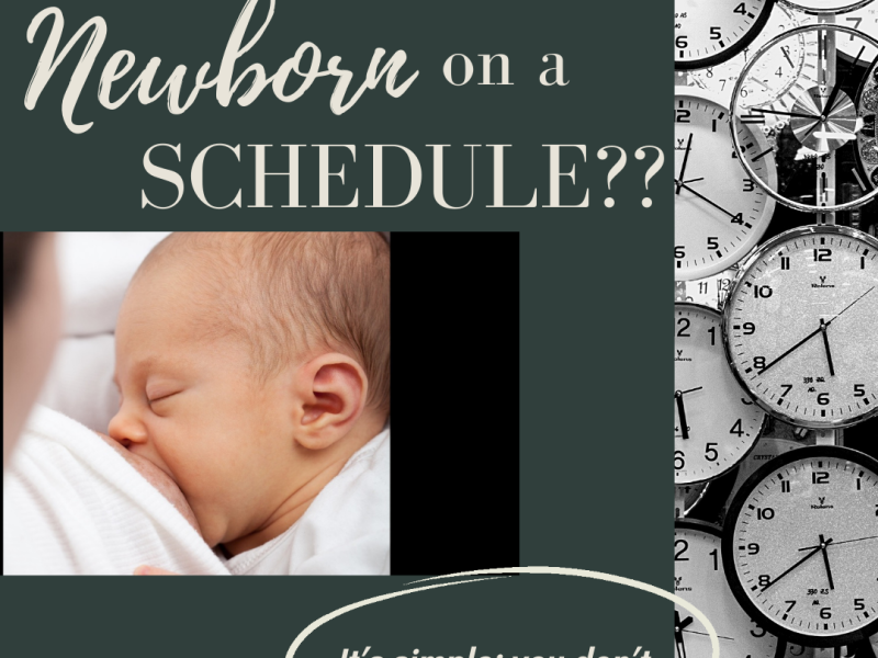 Schedule for a Newborn? Wait…what?